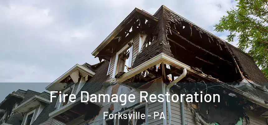  Fire Damage Restoration Forksville - PA
