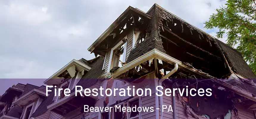  Fire Restoration Services Beaver Meadows - PA