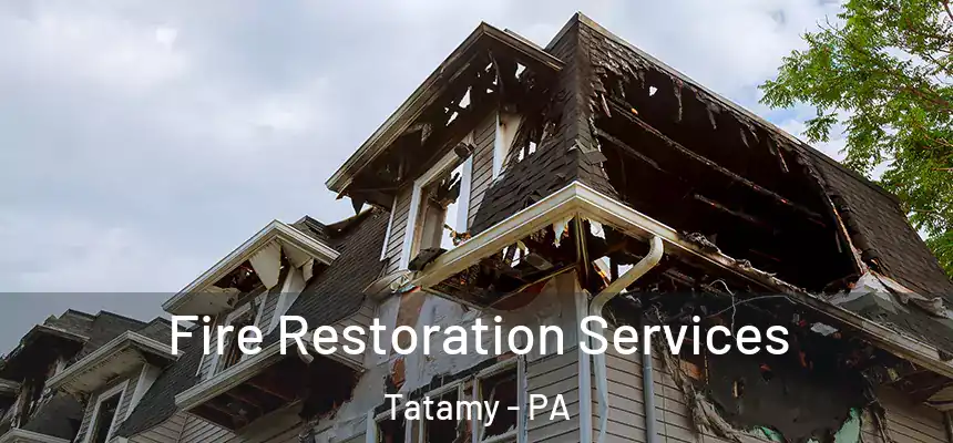 Fire Restoration Services Tatamy - PA