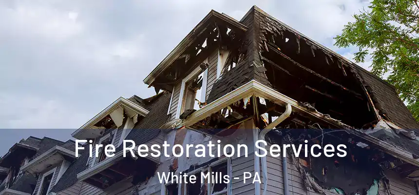  Fire Restoration Services White Mills - PA
