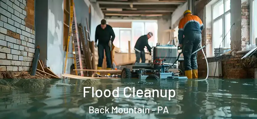 Flood Cleanup Back Mountain - PA