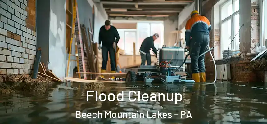  Flood Cleanup Beech Mountain Lakes - PA