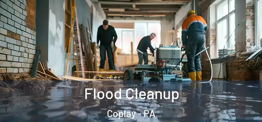  Flood Cleanup Coplay - PA