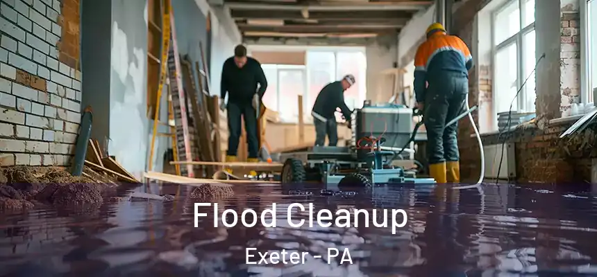  Flood Cleanup Exeter - PA