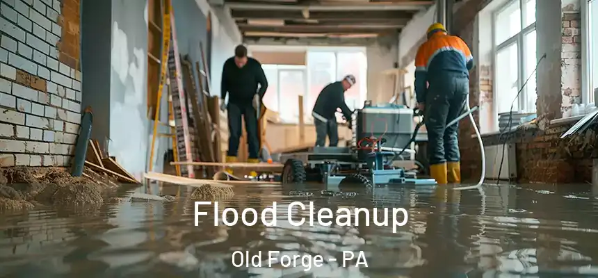  Flood Cleanup Old Forge - PA