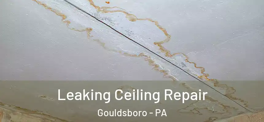  Leaking Ceiling Repair Gouldsboro - PA