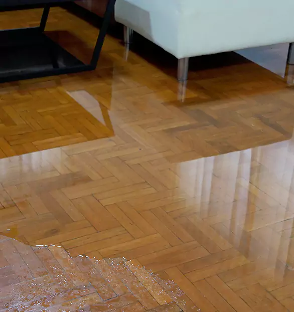 Trusted Emergency Water Restoration Company in Gouldsboro, PA