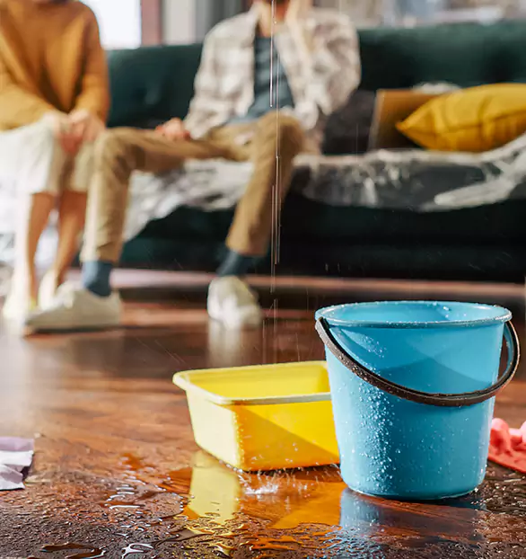 Trusted Water Restoration Company in Gouldsboro, PA