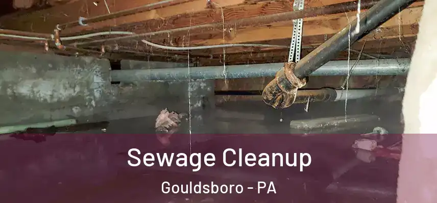  Sewage Cleanup Gouldsboro - PA