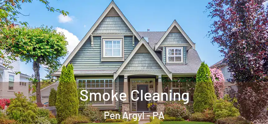  Smoke Cleaning Pen Argyl - PA