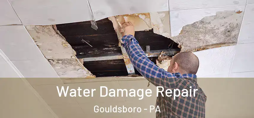  Water Damage Repair Gouldsboro - PA
